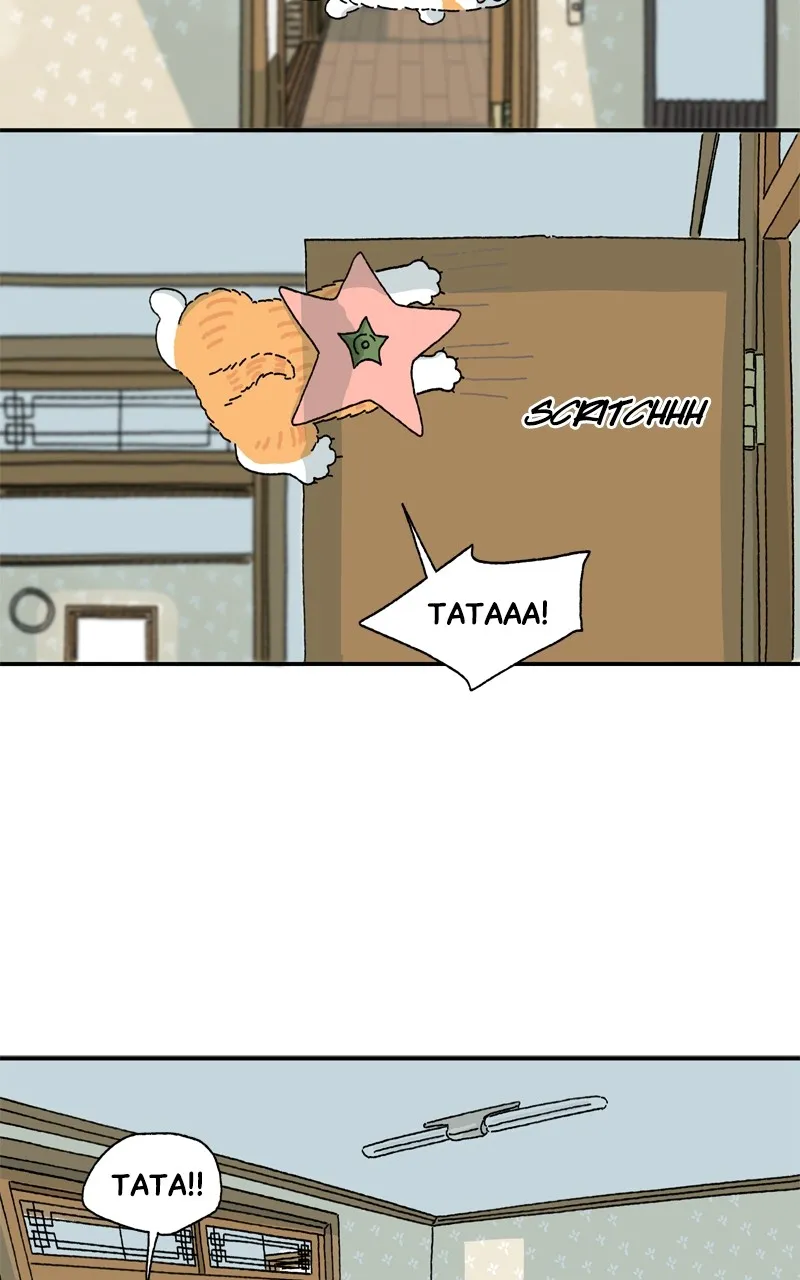 Tata the Cat Chapter 5 page 38 - 