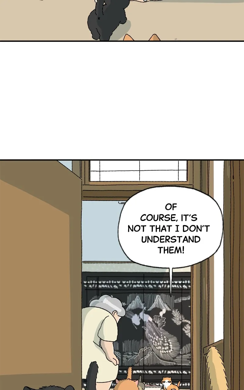 Tata the Cat Chapter 5 page 5 - 