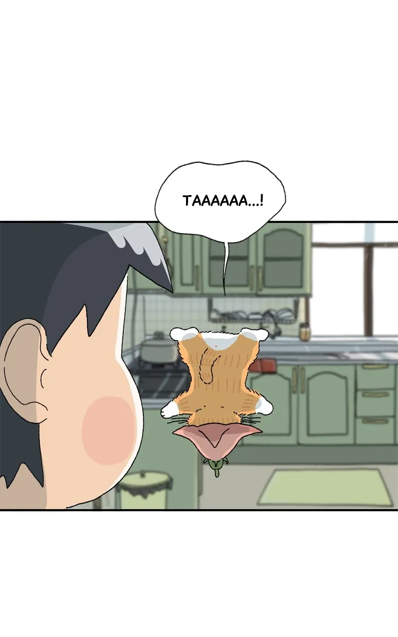 Tata the Cat Chapter 5 page 44 - 