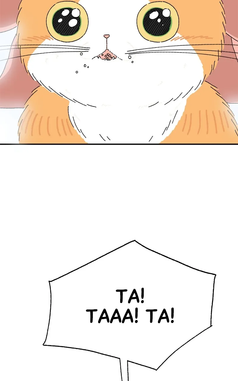 Tata the Cat Chapter 5 page 67 - 
