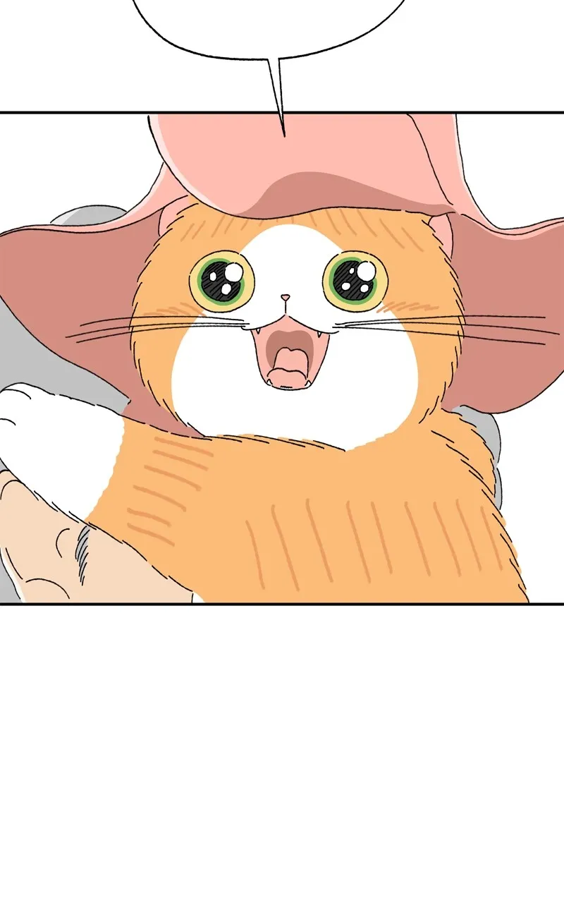 Tata the Cat Chapter 5 page 72 - 
