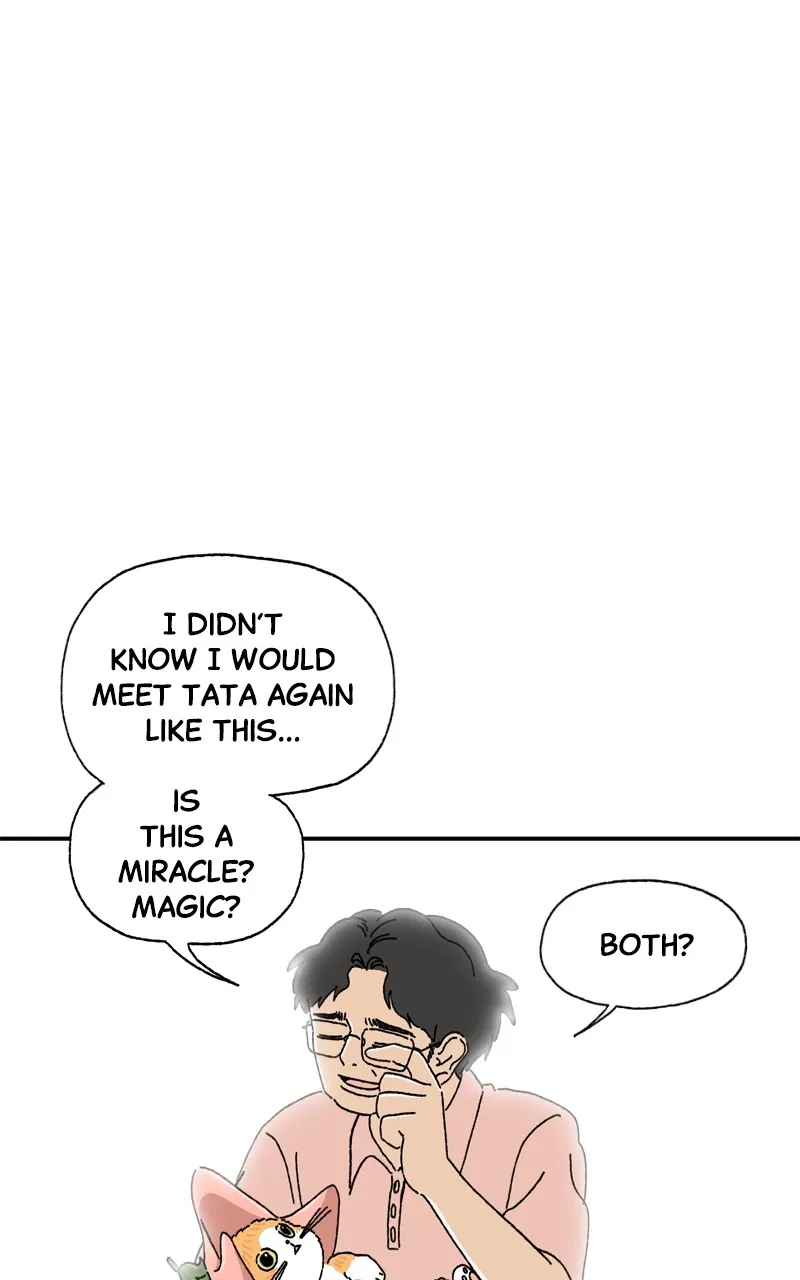 Tata the Cat Chapter 6 page 14 - 