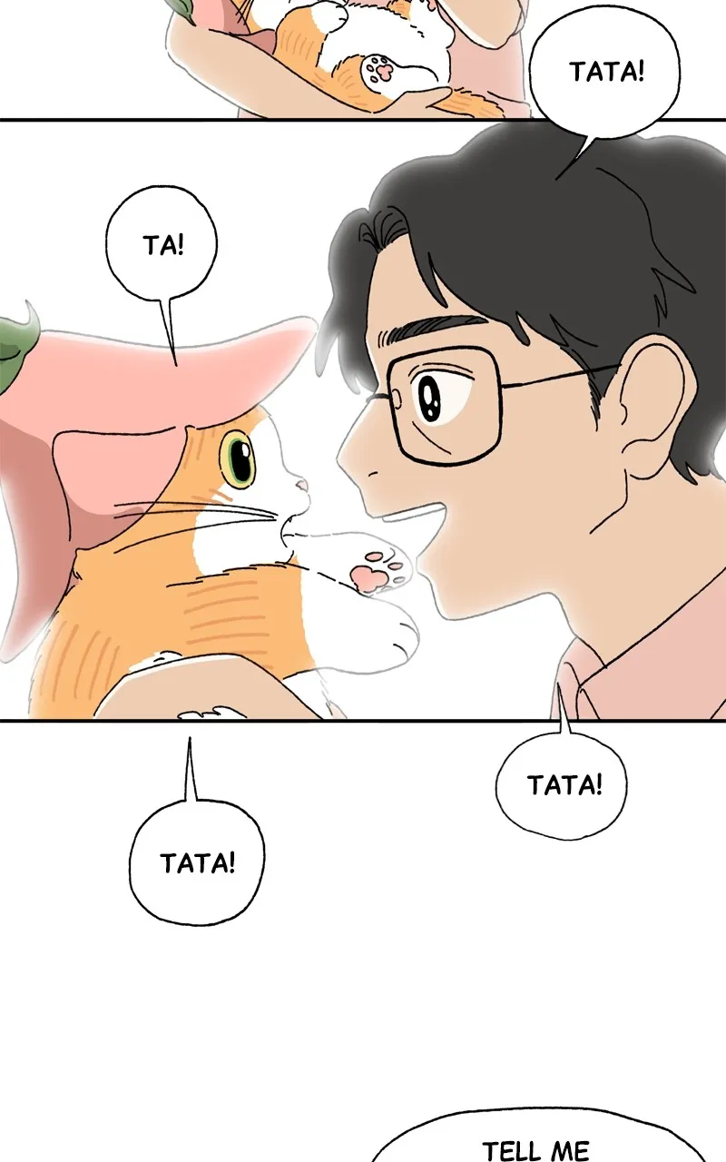 Tata the Cat Chapter 6 page 15 - 