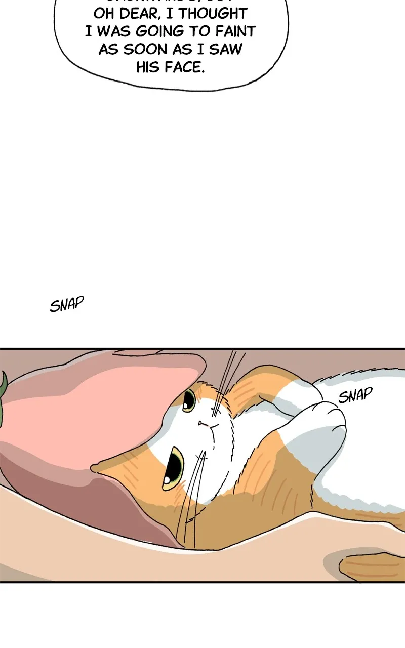 Tata the Cat Chapter 6 page 17 - 