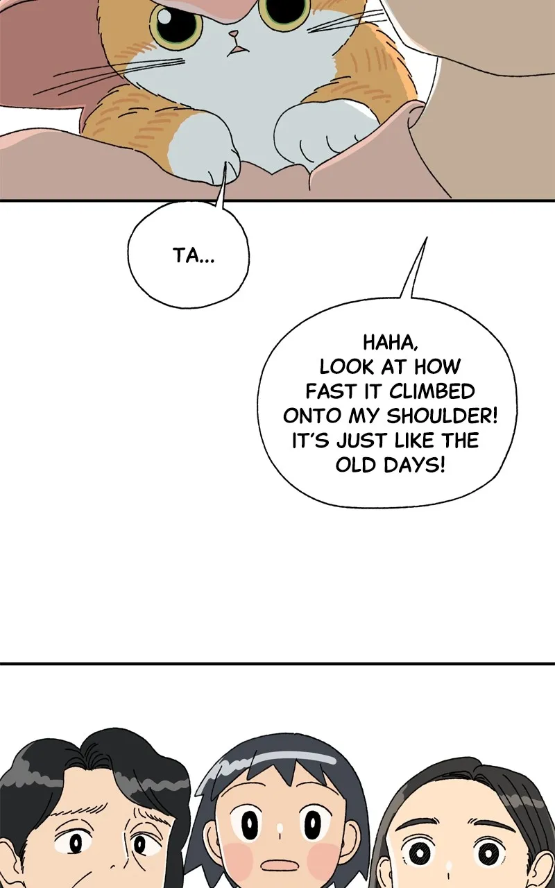 Tata the Cat Chapter 6 page 21 - 