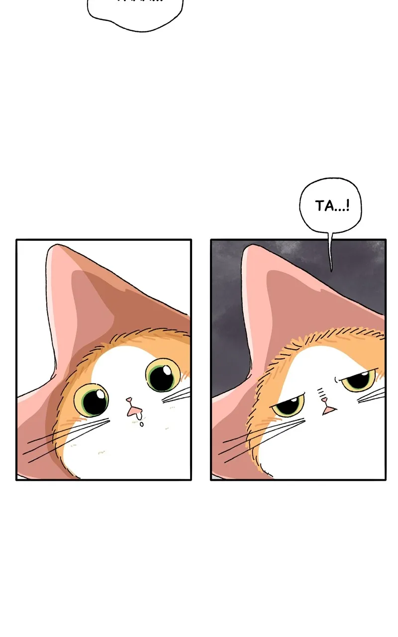 Tata the Cat Chapter 6 page 25 - 