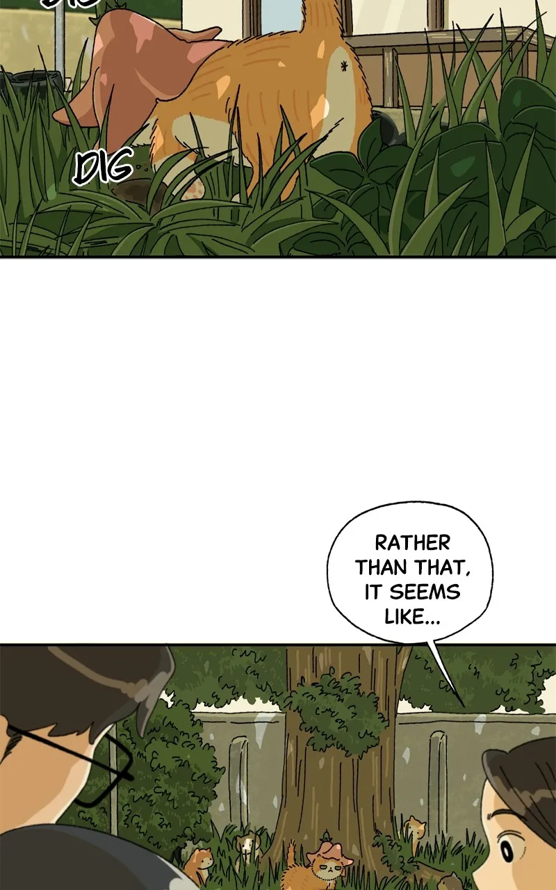 Tata the Cat Chapter 6 page 28 - 
