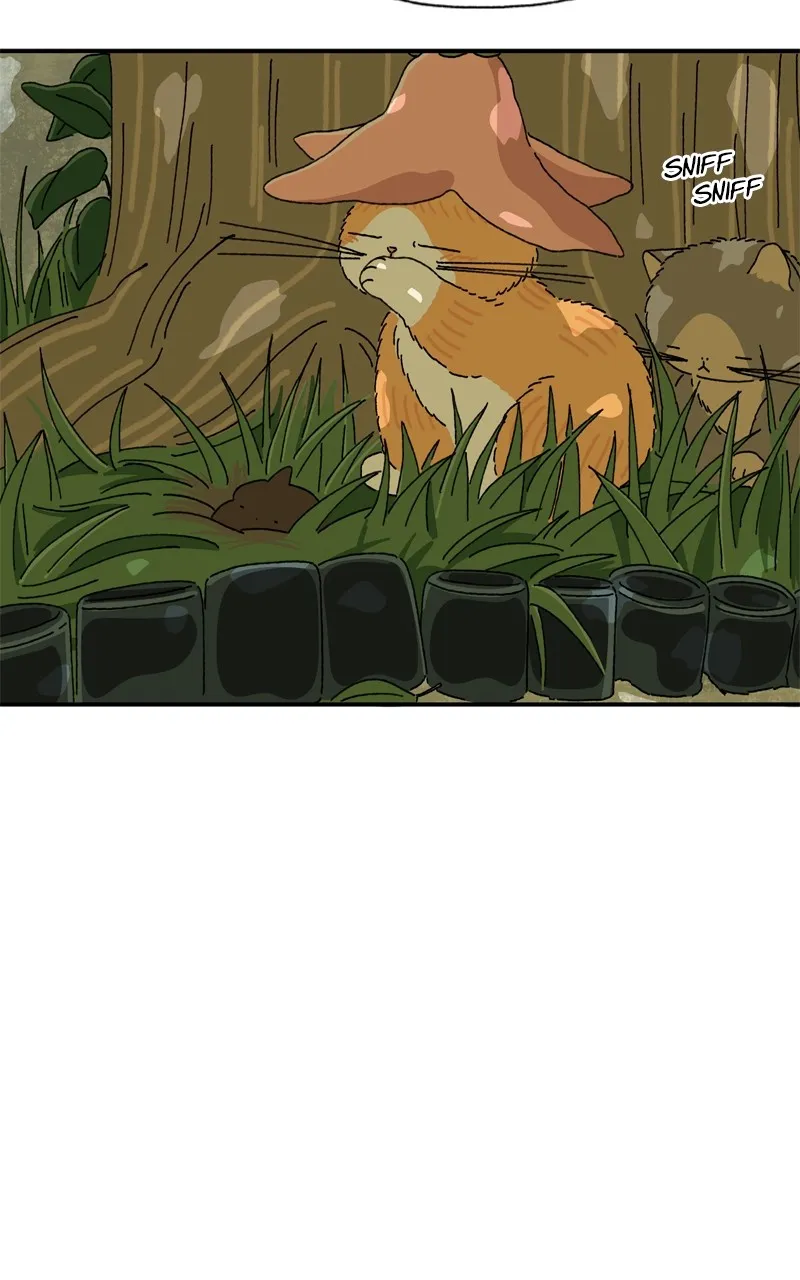 Tata the Cat Chapter 6 page 32 - 