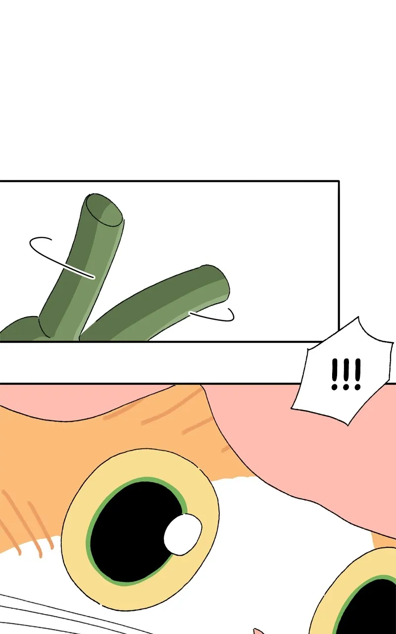 Tata the Cat Chapter 6 page 33 - 