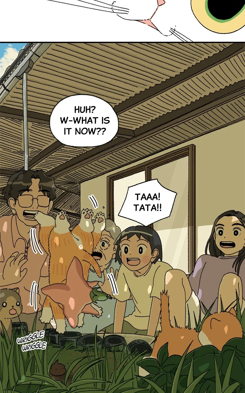 Tata the Cat Chapter 6 page 34 - 