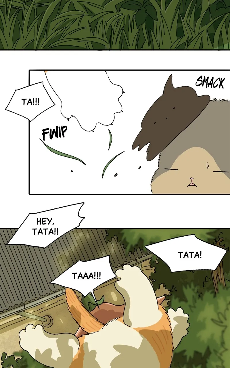 Tata the Cat Chapter 6 page 35 - 