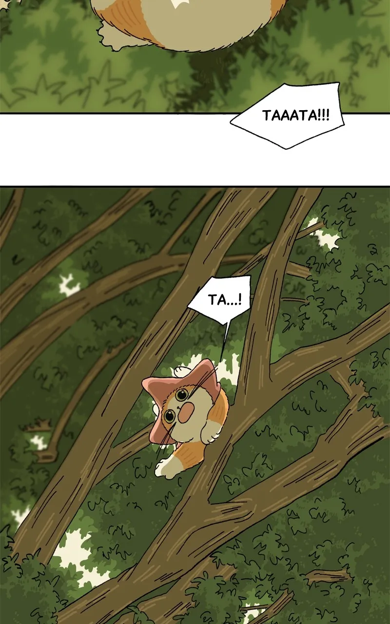 Tata the Cat Chapter 6 page 36 - 