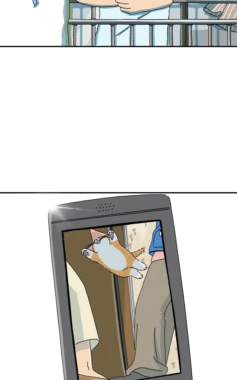 Tata the Cat Chapter 6 page 5 - 