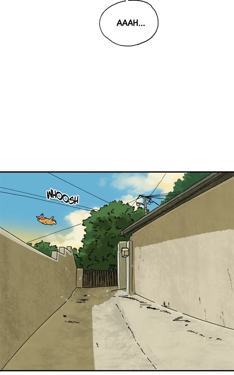 Tata the Cat Chapter 6 page 41 - 