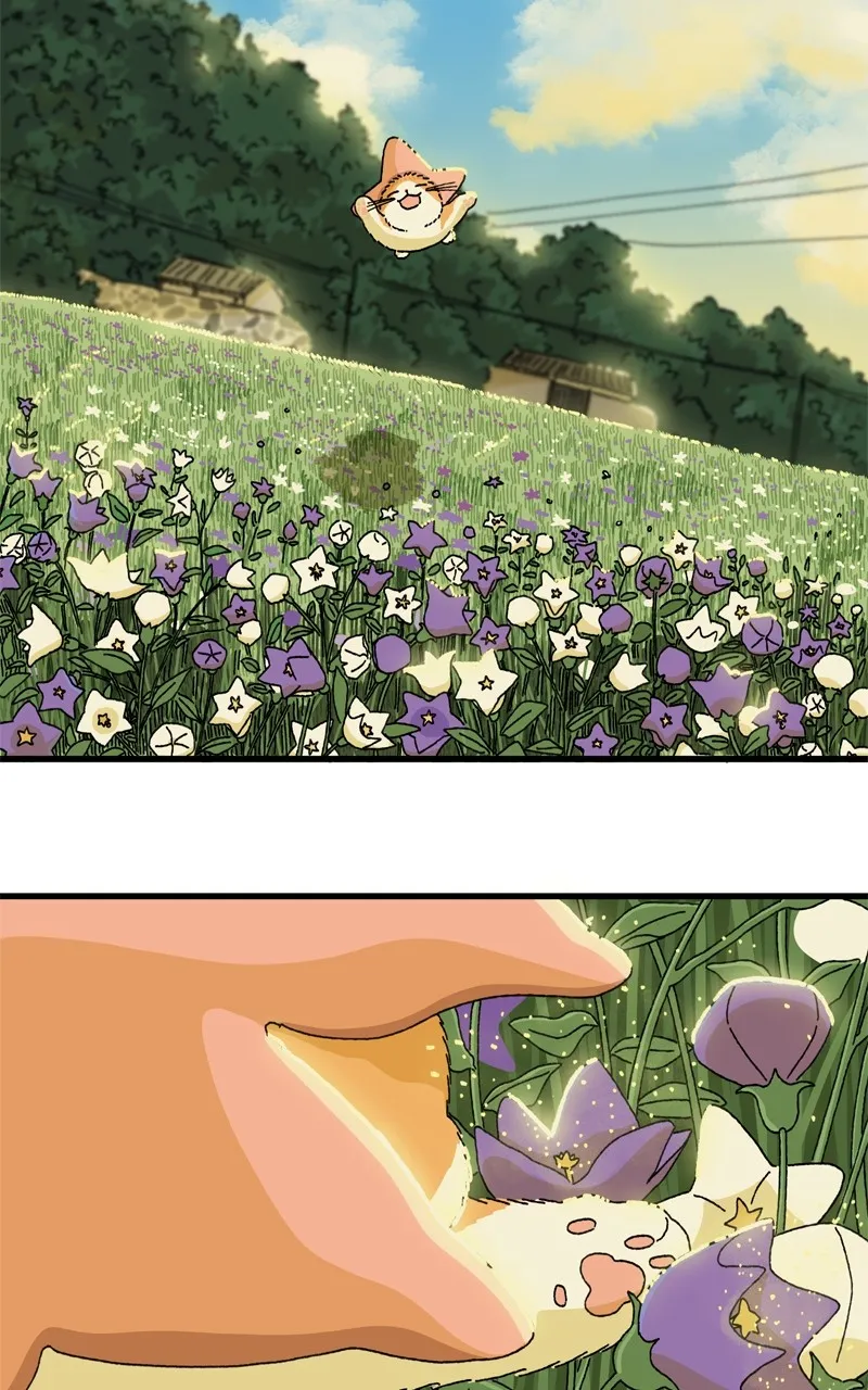 Tata the Cat Chapter 6 page 45 - 