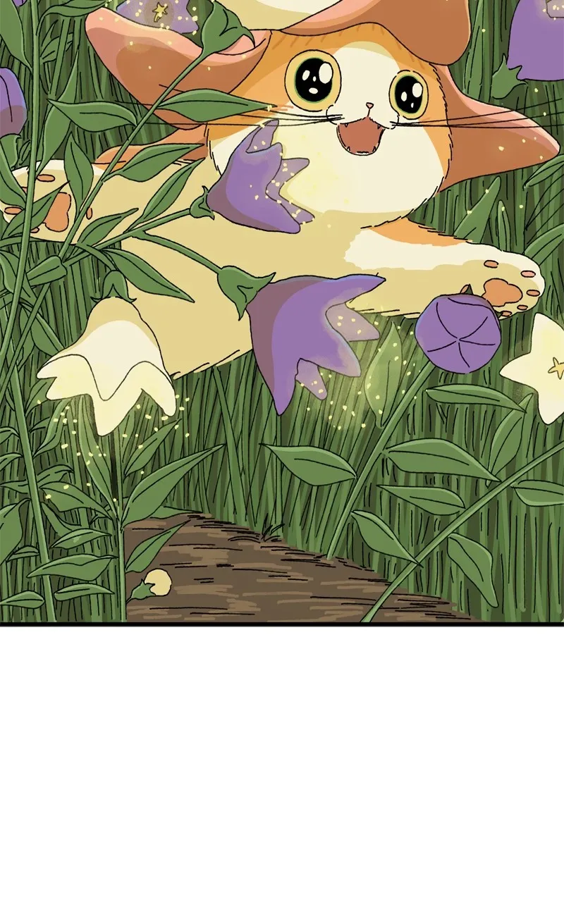 Tata the Cat Chapter 6 page 47 - 