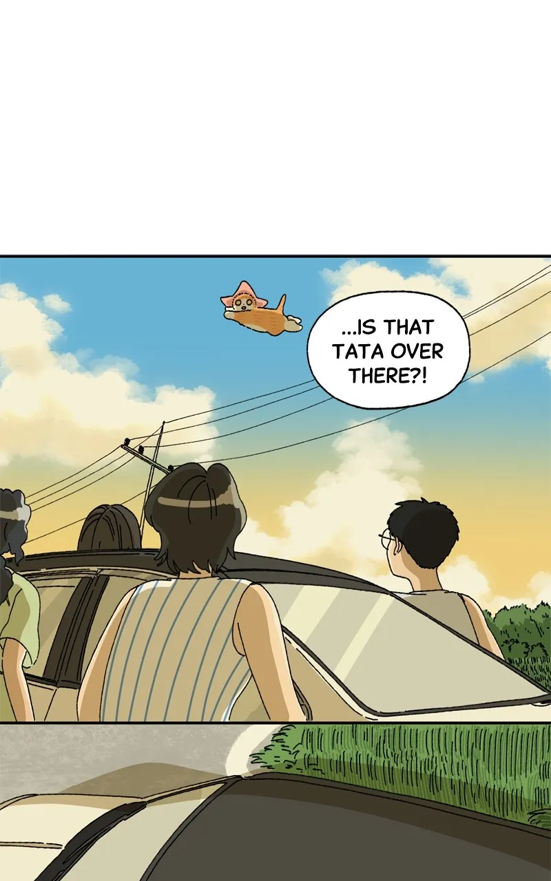 Tata the Cat Chapter 6 page 58 - 