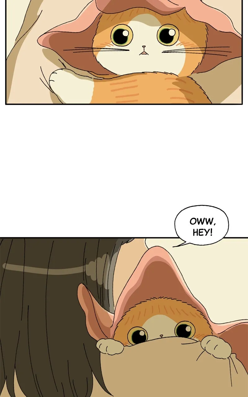 Tata the Cat Chapter 6 page 67 - 