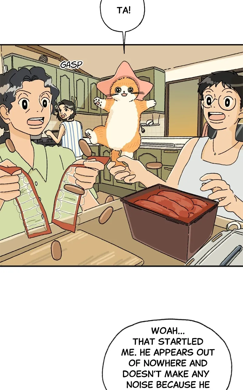 Tata the Cat Chapter 7 page 13 - 