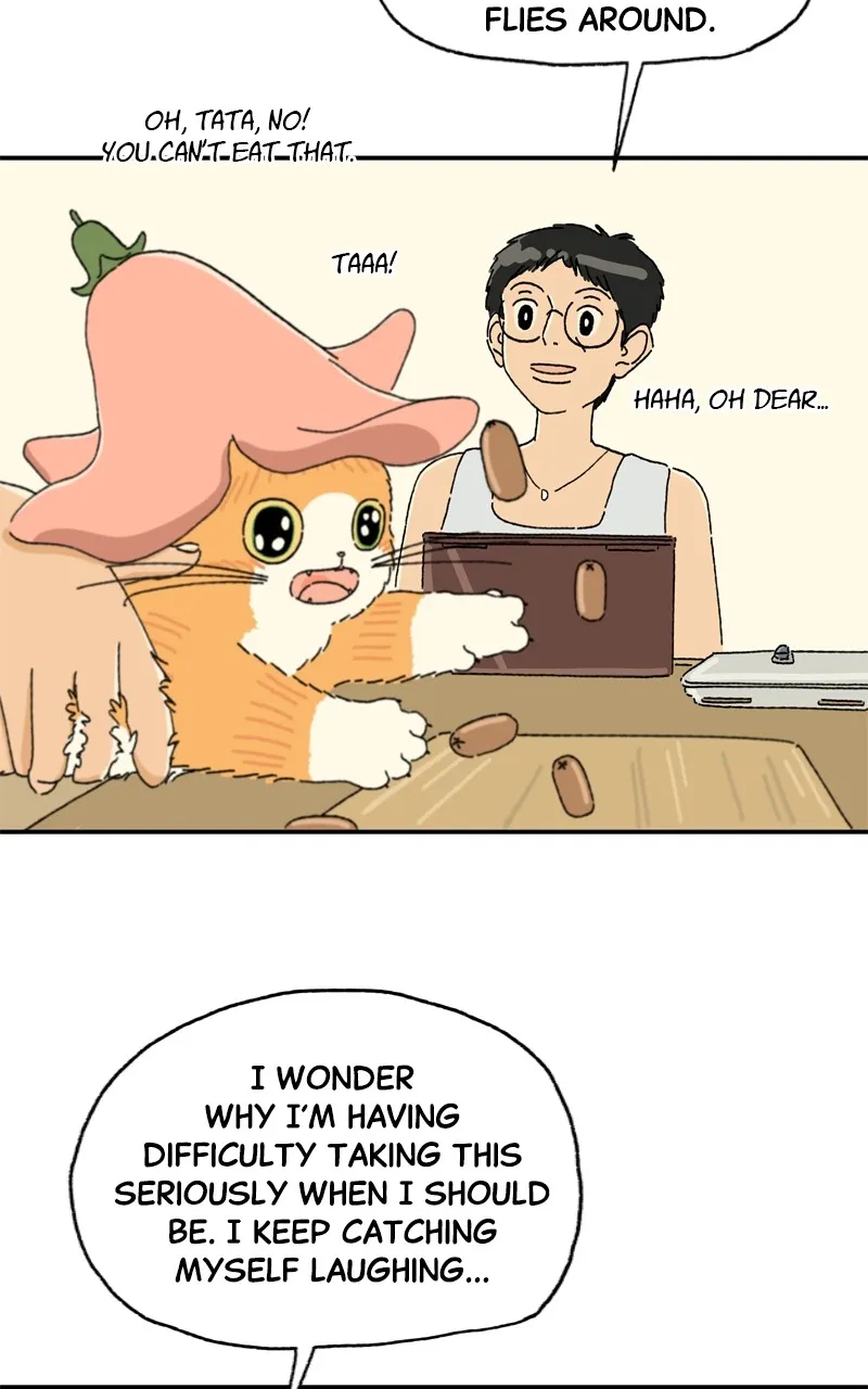 Tata the Cat Chapter 7 page 14 - 