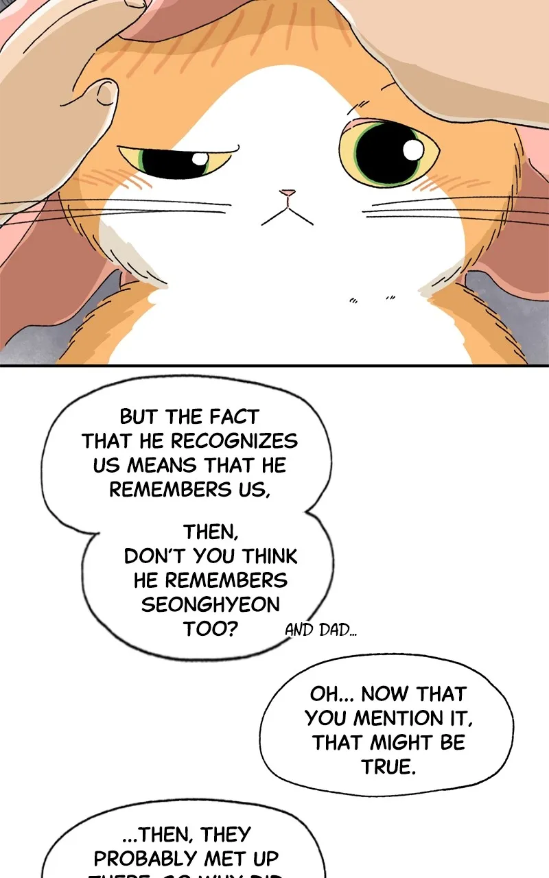 Tata the Cat Chapter 7 page 38 - 