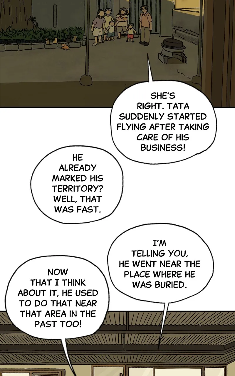 Tata the Cat Chapter 7 page 5 - 