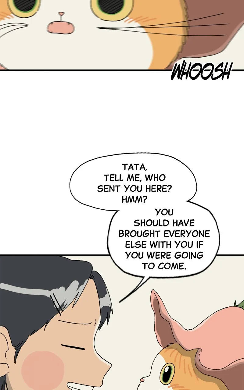 Tata the Cat Chapter 7 page 45 - 