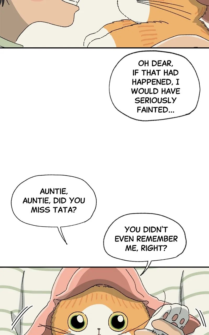 Tata the Cat Chapter 7 page 46 - 