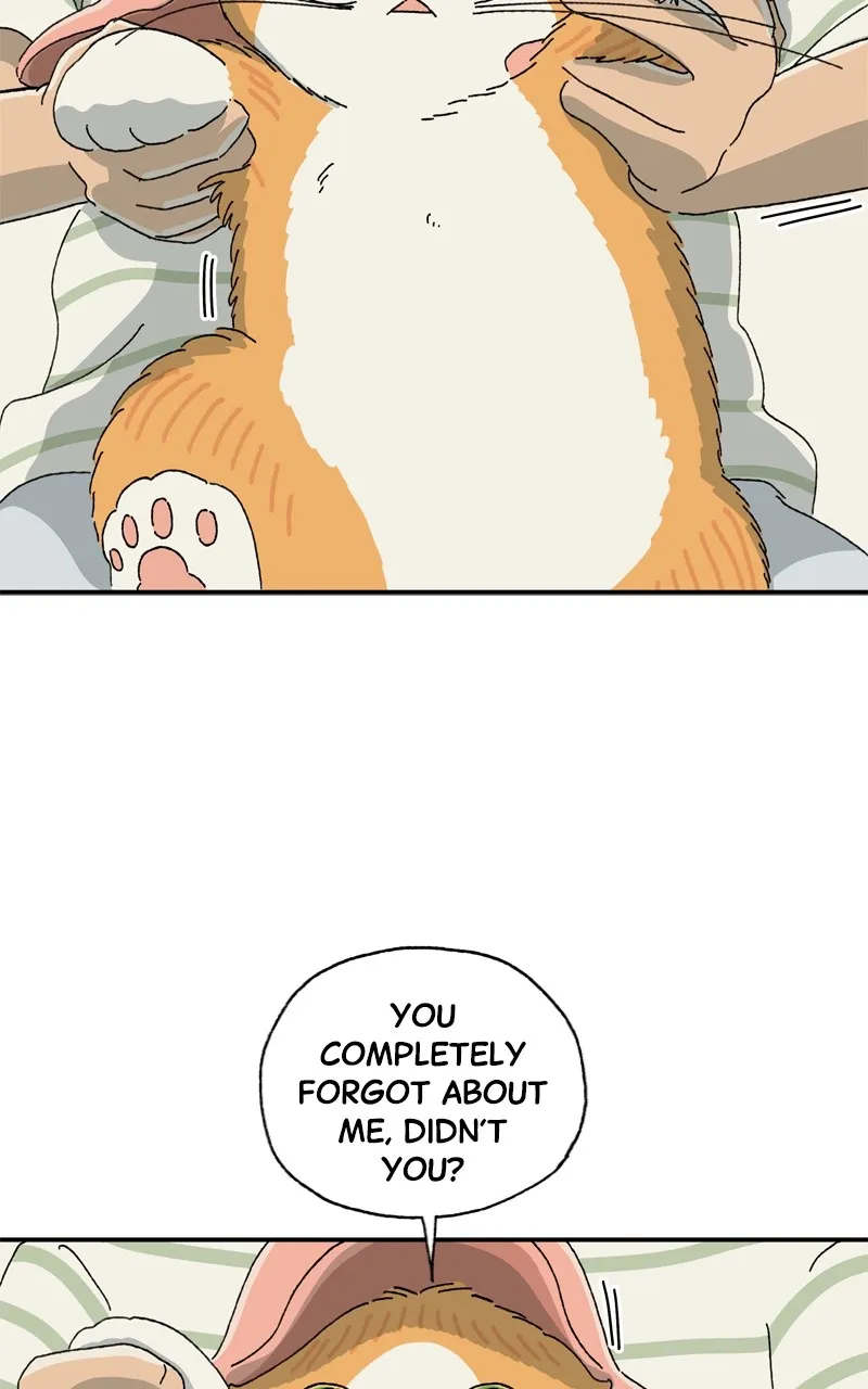 Tata the Cat Chapter 7 page 47 - 