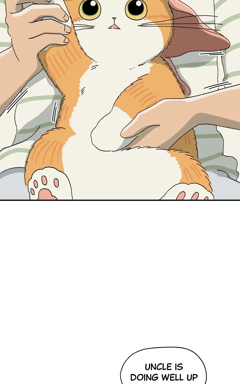 Tata the Cat Chapter 7 page 48 - 