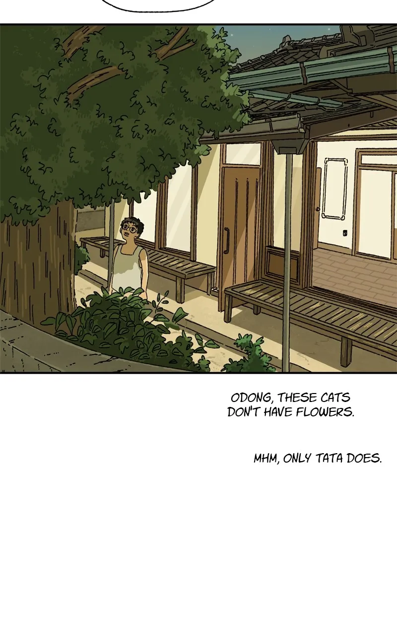 Tata the Cat Chapter 7 page 8 - 