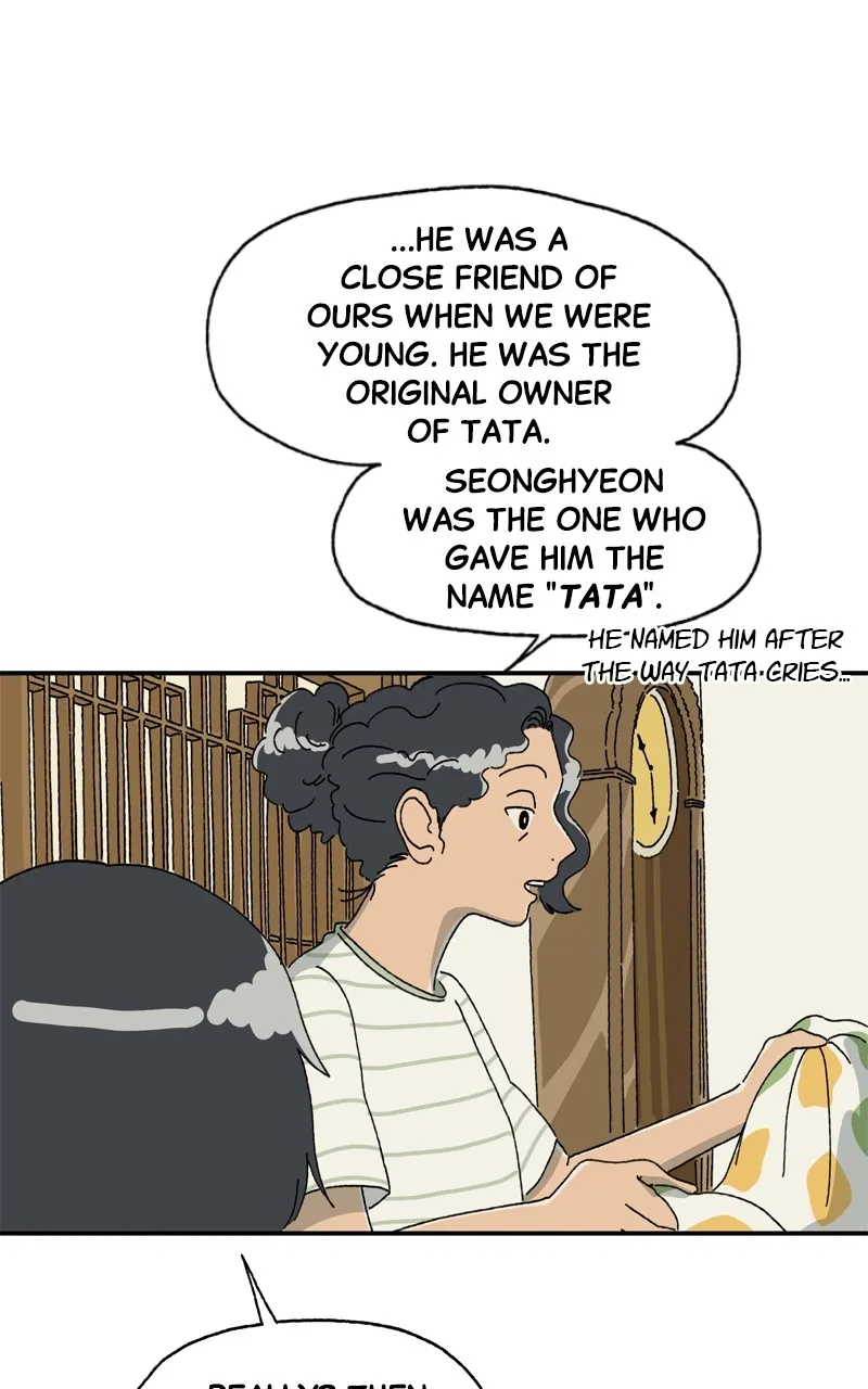 Tata the Cat Chapter 8 page 16 - 