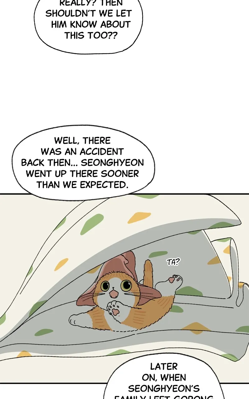 Tata the Cat Chapter 8 page 17 - 