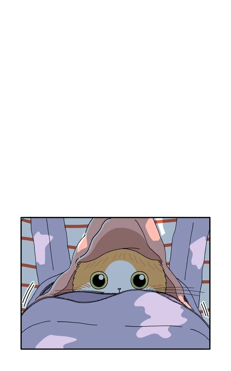 Tata the Cat Chapter 8 page 44 - 