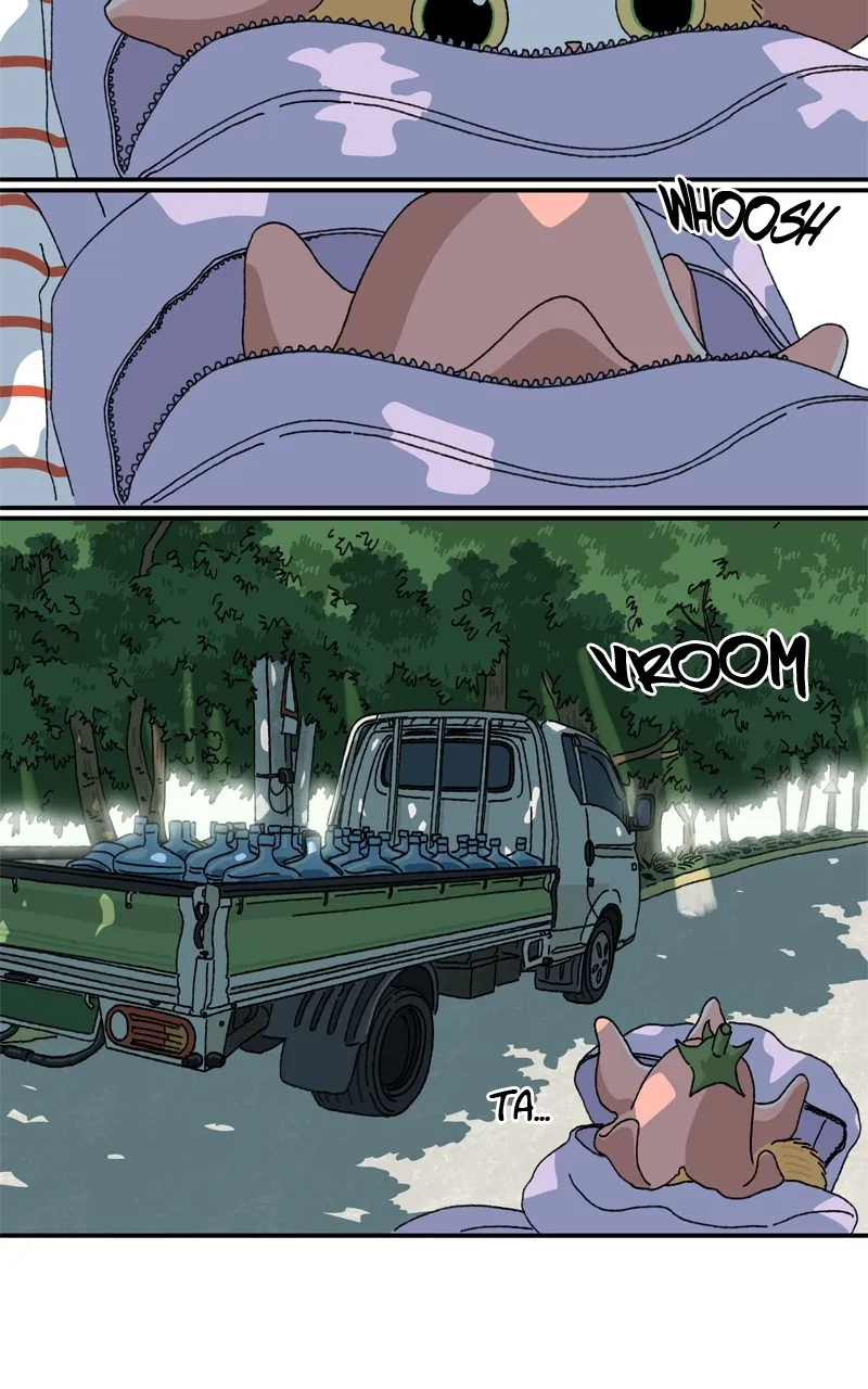 Tata the Cat Chapter 8 page 48 - 