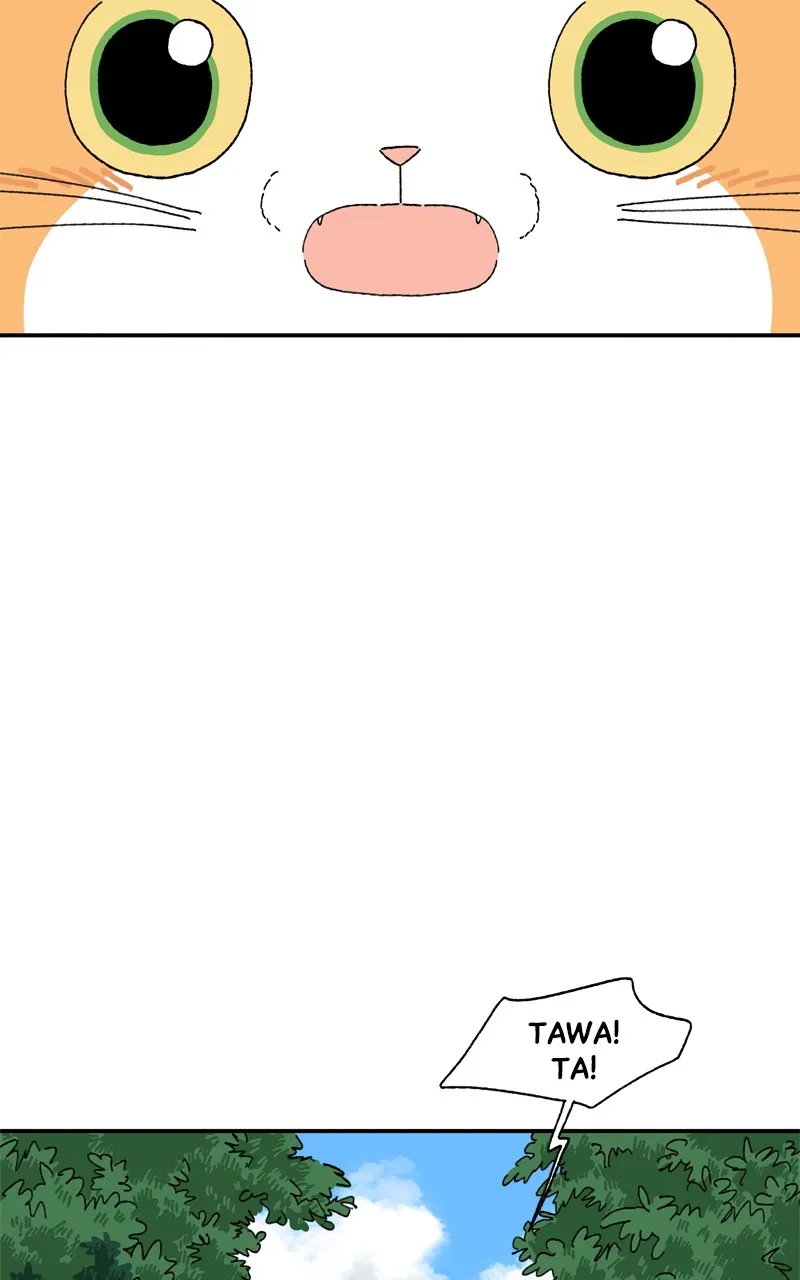 Tata the Cat Chapter 8 page 52 - 