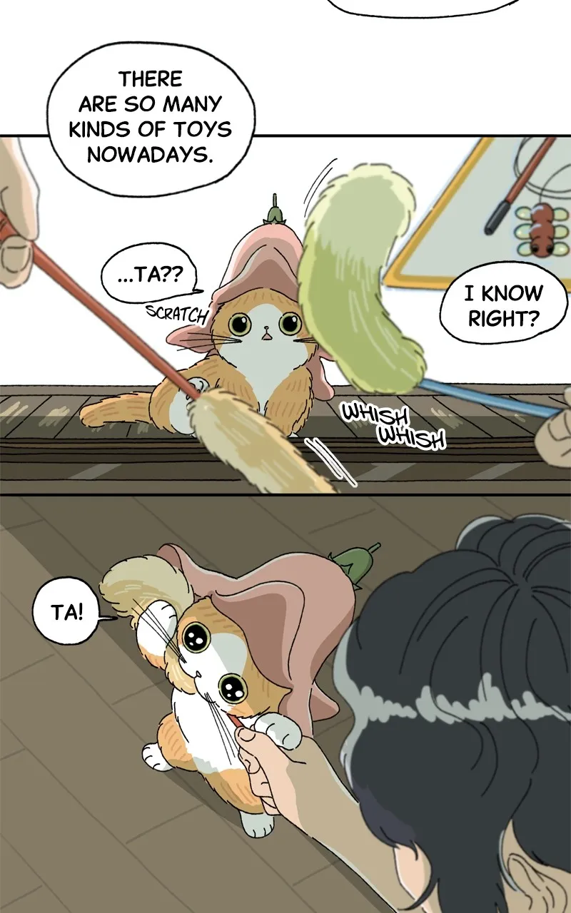 Tata the Cat Chapter 9 page 47 - 