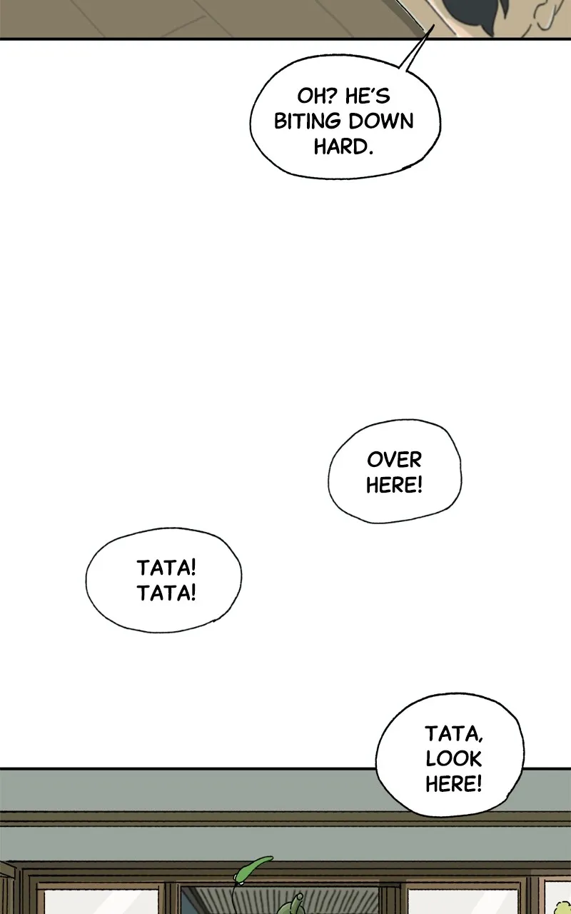 Tata the Cat Chapter 9 page 48 - 