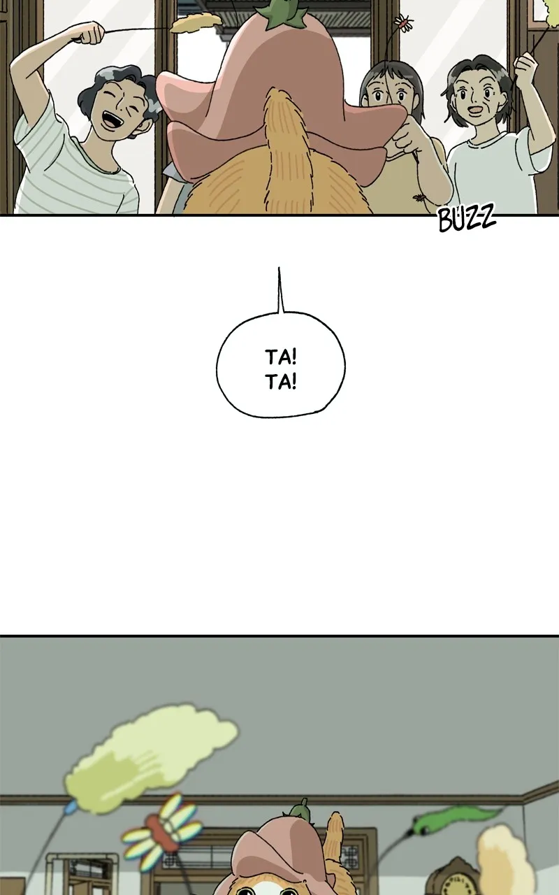 Tata the Cat Chapter 9 page 49 - 