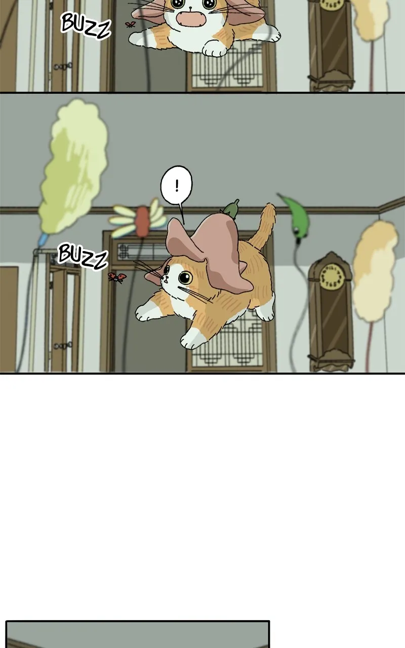 Tata the Cat Chapter 9 page 50 - 