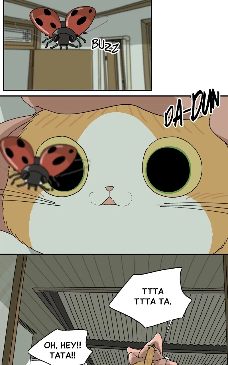 Tata the Cat Chapter 9 page 51 - 