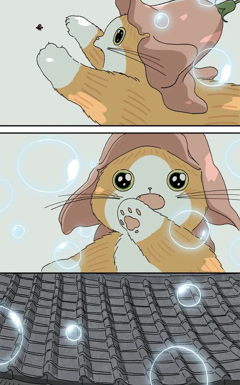 Tata the Cat Chapter 9 page 54 - 