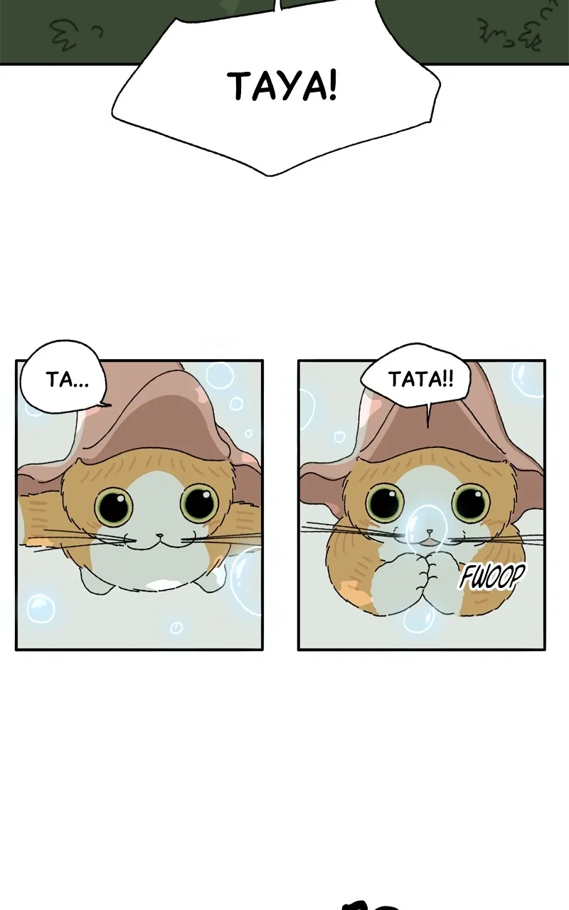 Tata the Cat Chapter 9 page 56 - 