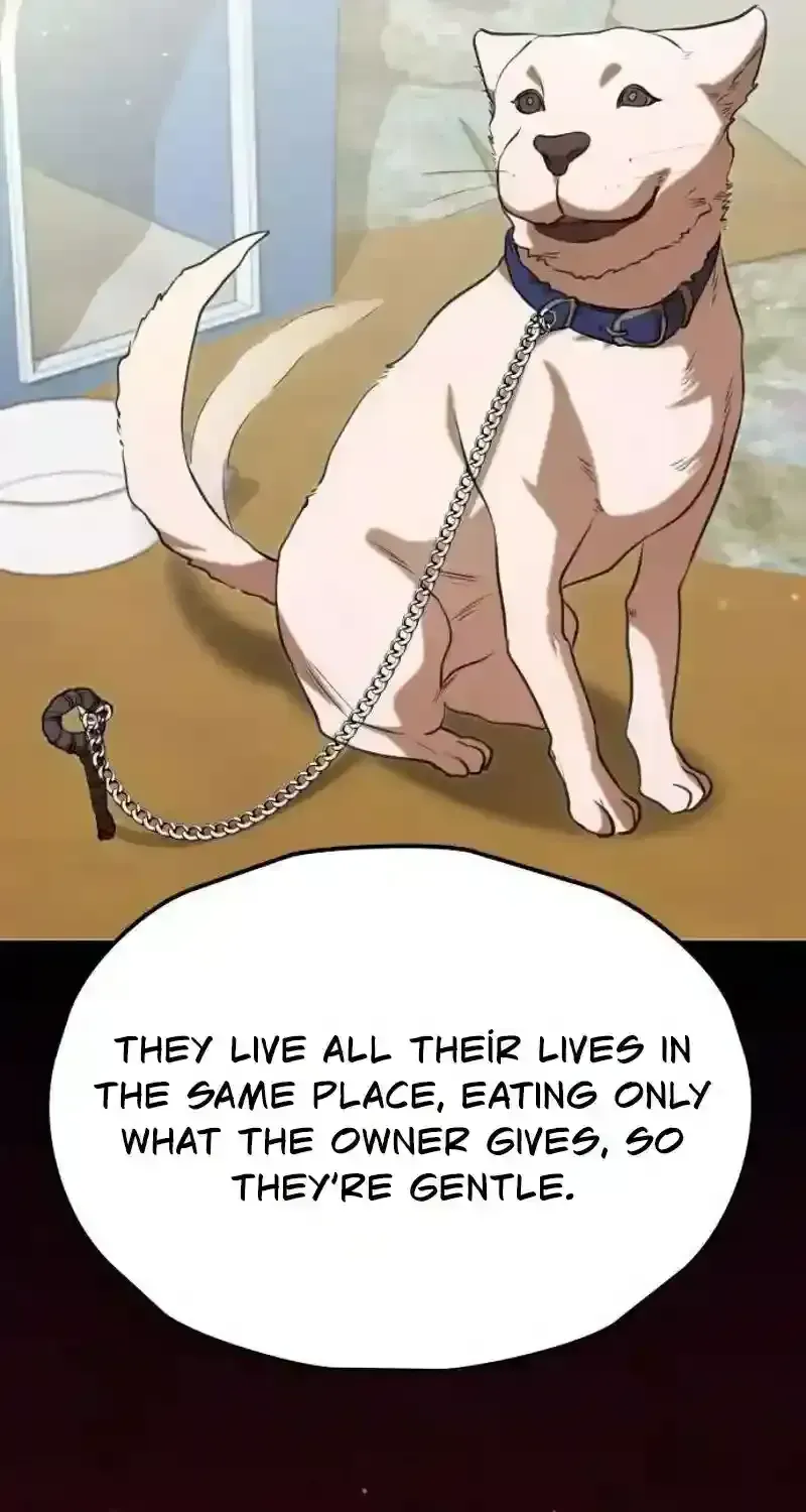 Taxidermy Chapter 1.3 page 229 - 