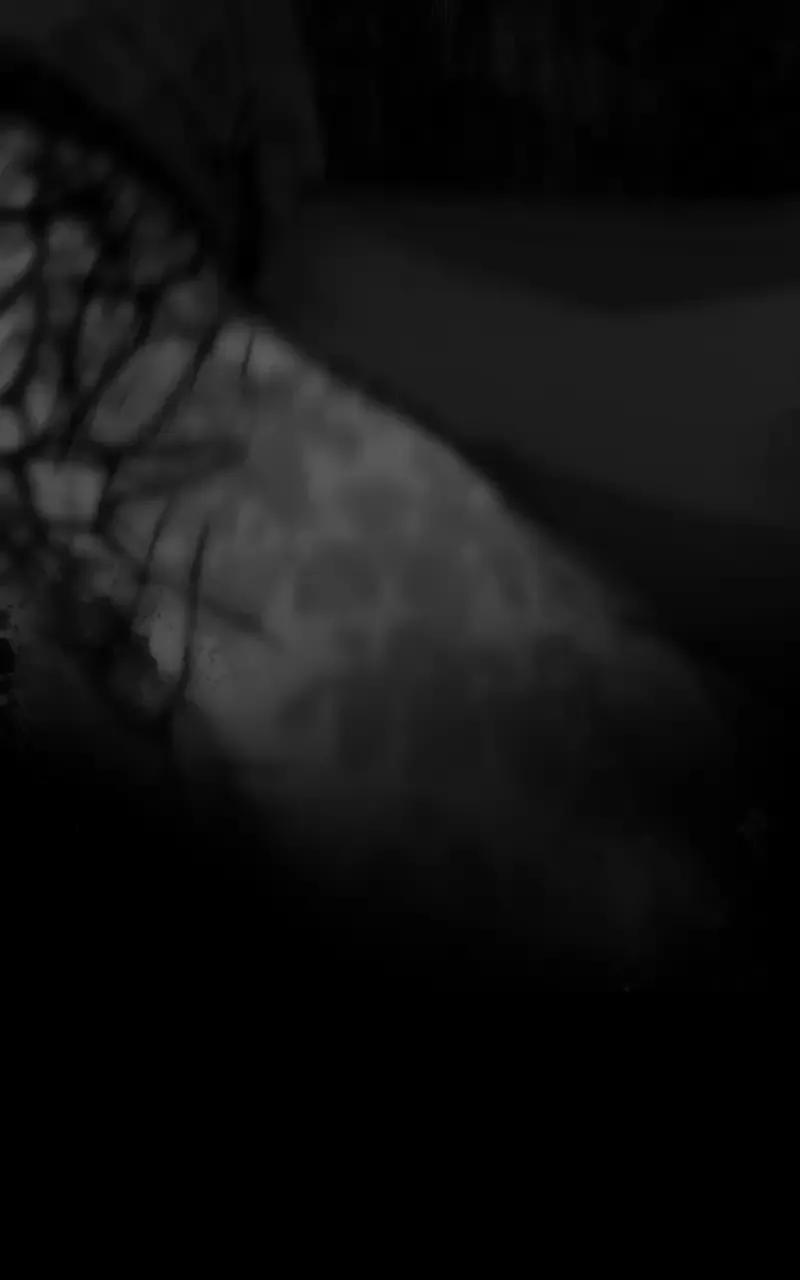 Tears and Blood: Betrayal Chapter 23 page 38 - 