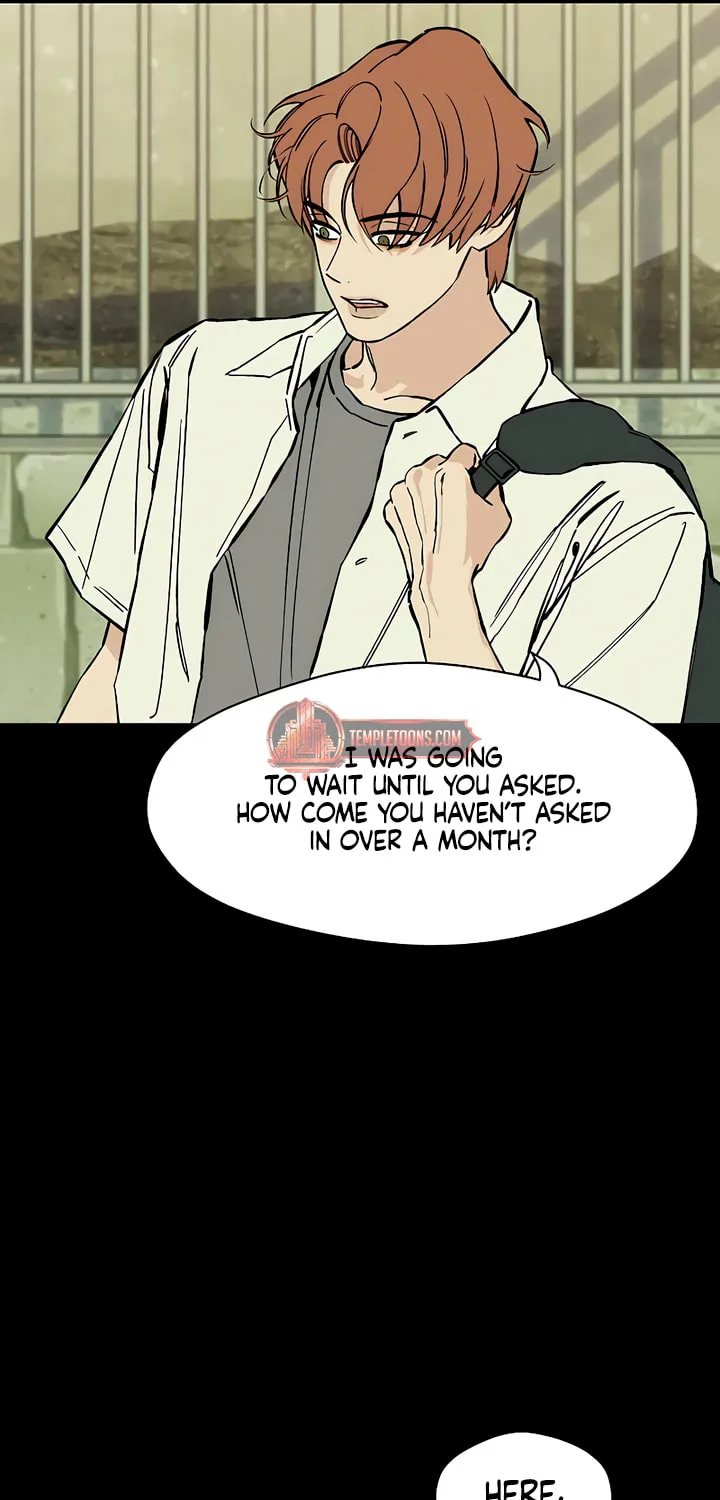 Tears on a Withered Flower Chapter 29 page 26 - 