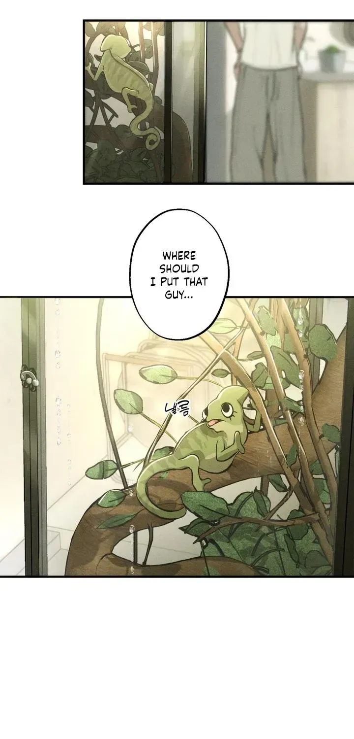 Temporarily Fostering a Melon Chapter 1.1 page 65 - 