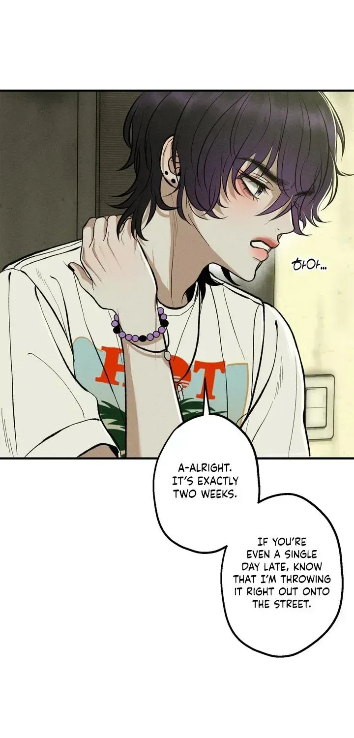 Temporarily Fostering a Melon Chapter 1.2 page 57 - 