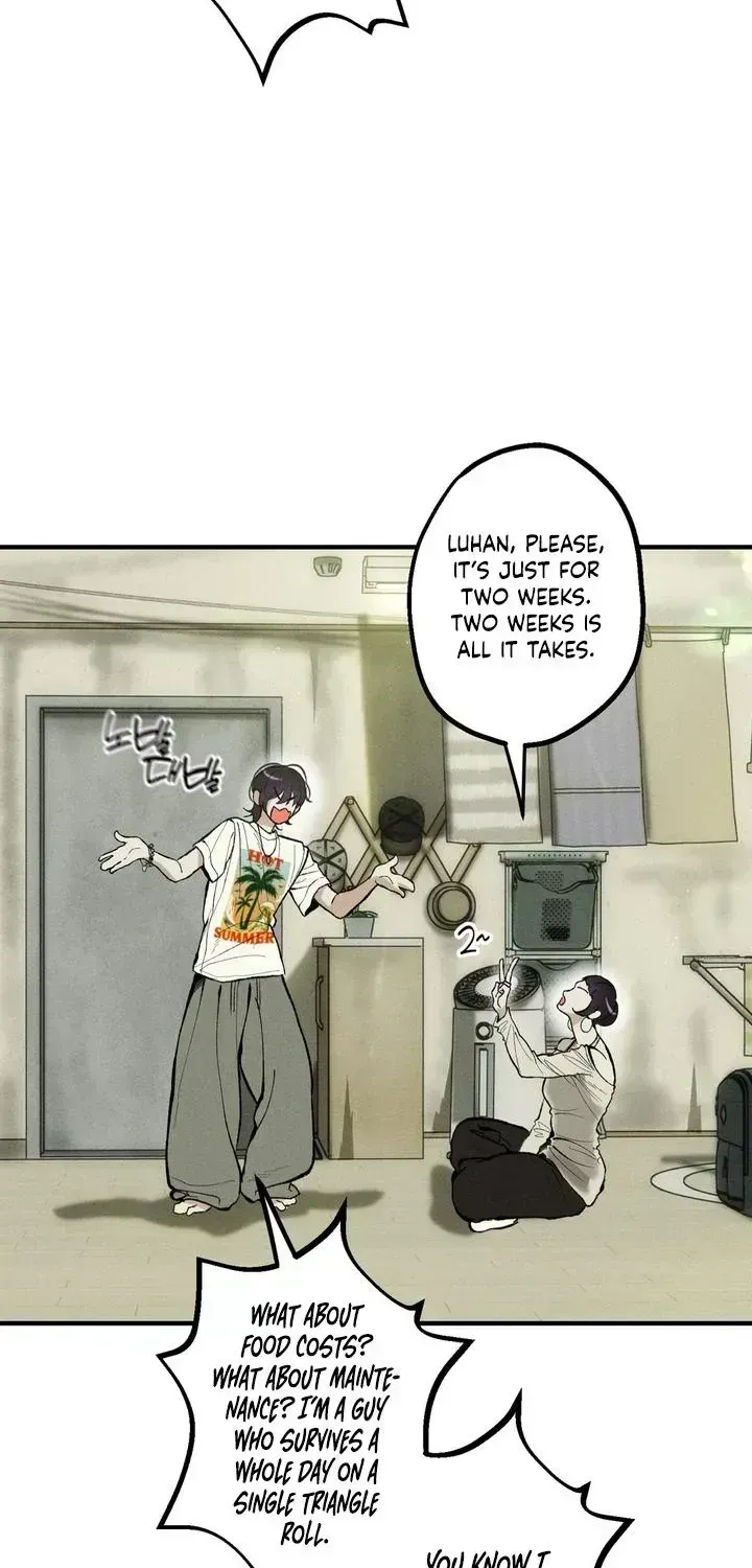 Temporarily Fostering a Melon Chapter 1.3 page 44 - 