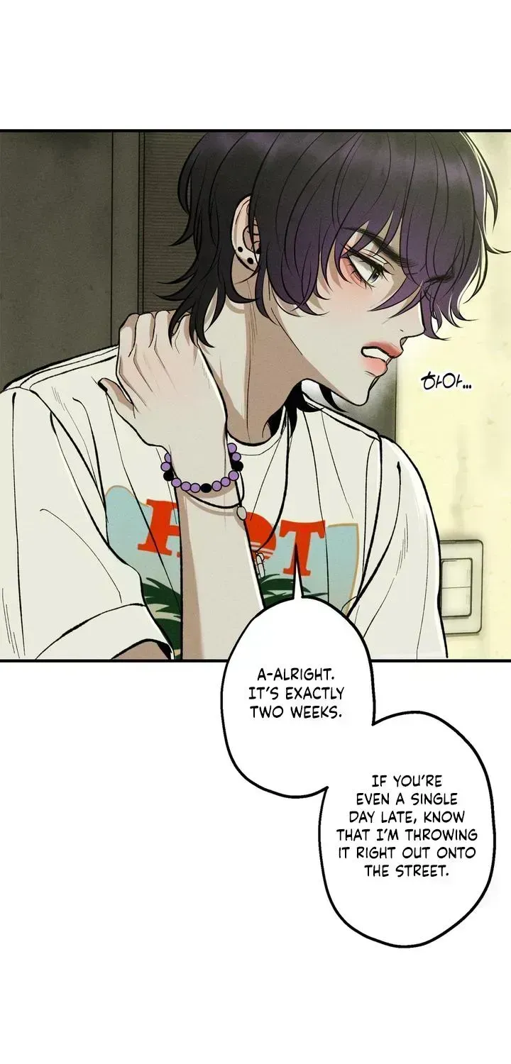 Temporarily Fostering a Melon Chapter 1.3 page 57 - 